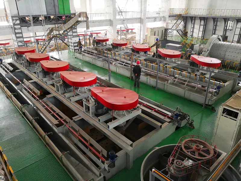 Ang self-aspirated mechanical flotation cells para sa magaspang na granule